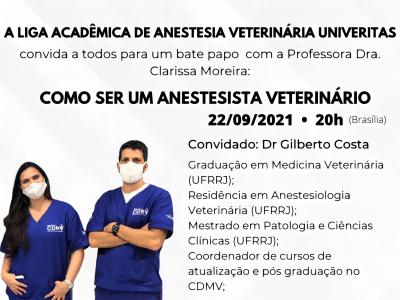 UNIVERITAS vai realizar bate-papo sobre como ser um anestesista veterinário  