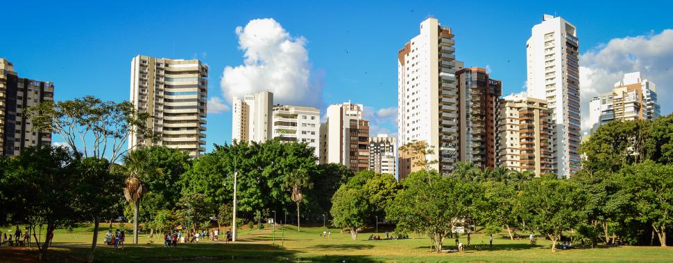 Cidade é considerada a mais arborizada do Brasil. Foto: jcdf / flickr / Creative Commons