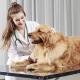 A imagem mostra uma médica veterinária com um cachorro